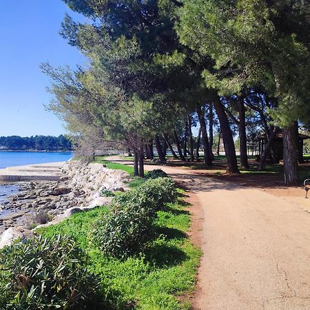 Apartments Novigrad Novigrad Istria Εξωτερικό φωτογραφία