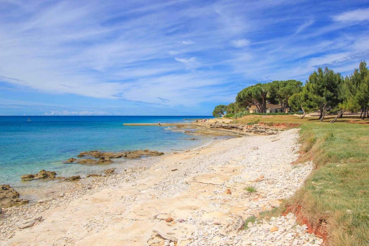 Apartments Novigrad Novigrad Istria Εξωτερικό φωτογραφία