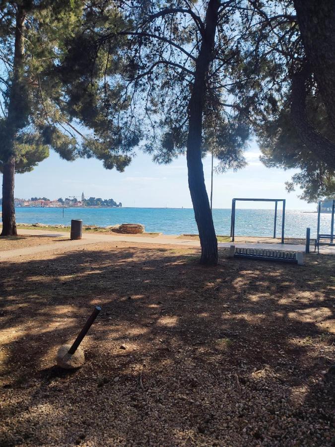 Apartments Novigrad Novigrad Istria Εξωτερικό φωτογραφία