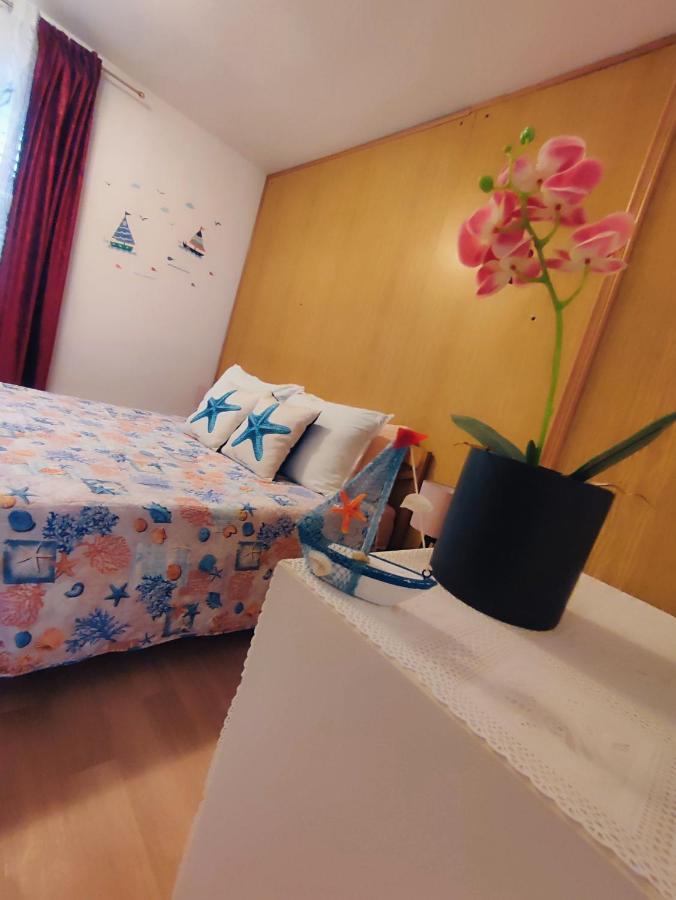Apartments Novigrad Novigrad Istria Εξωτερικό φωτογραφία